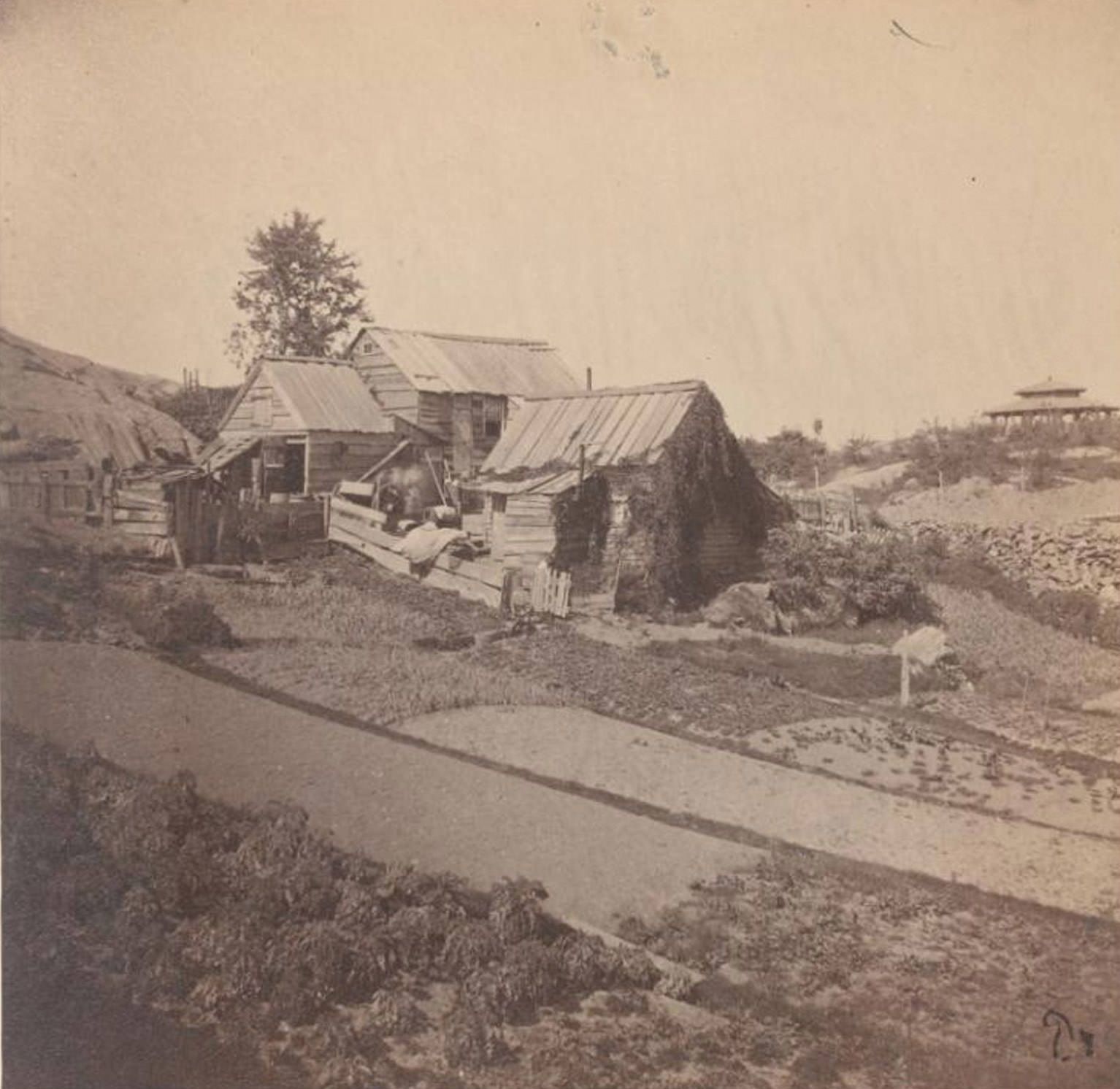 View Of House And Surrounding Fields, 1862