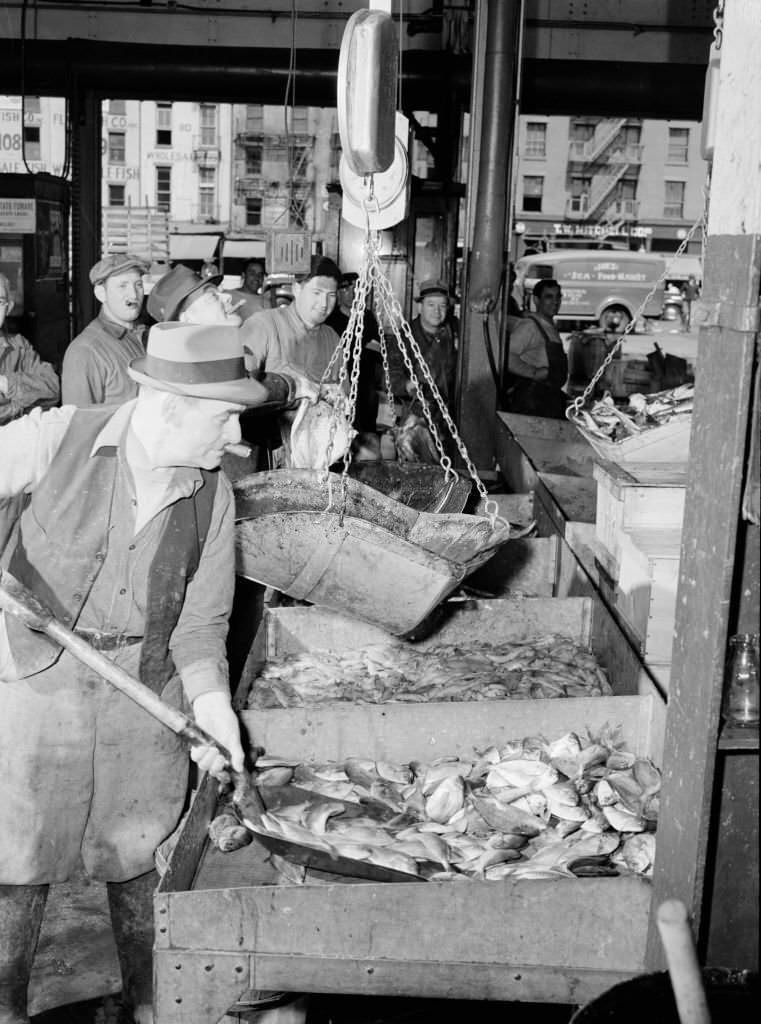 A &Amp;Quot;Seller&Amp;Quot; Shovelling Redfish Onto The Scales In The Fulton Fish Market. Artist Gordon Parks.