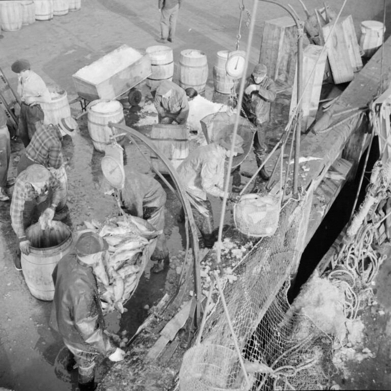 Stunning Historical Photos of Fulton Fish Market from the 1900s to 1960s