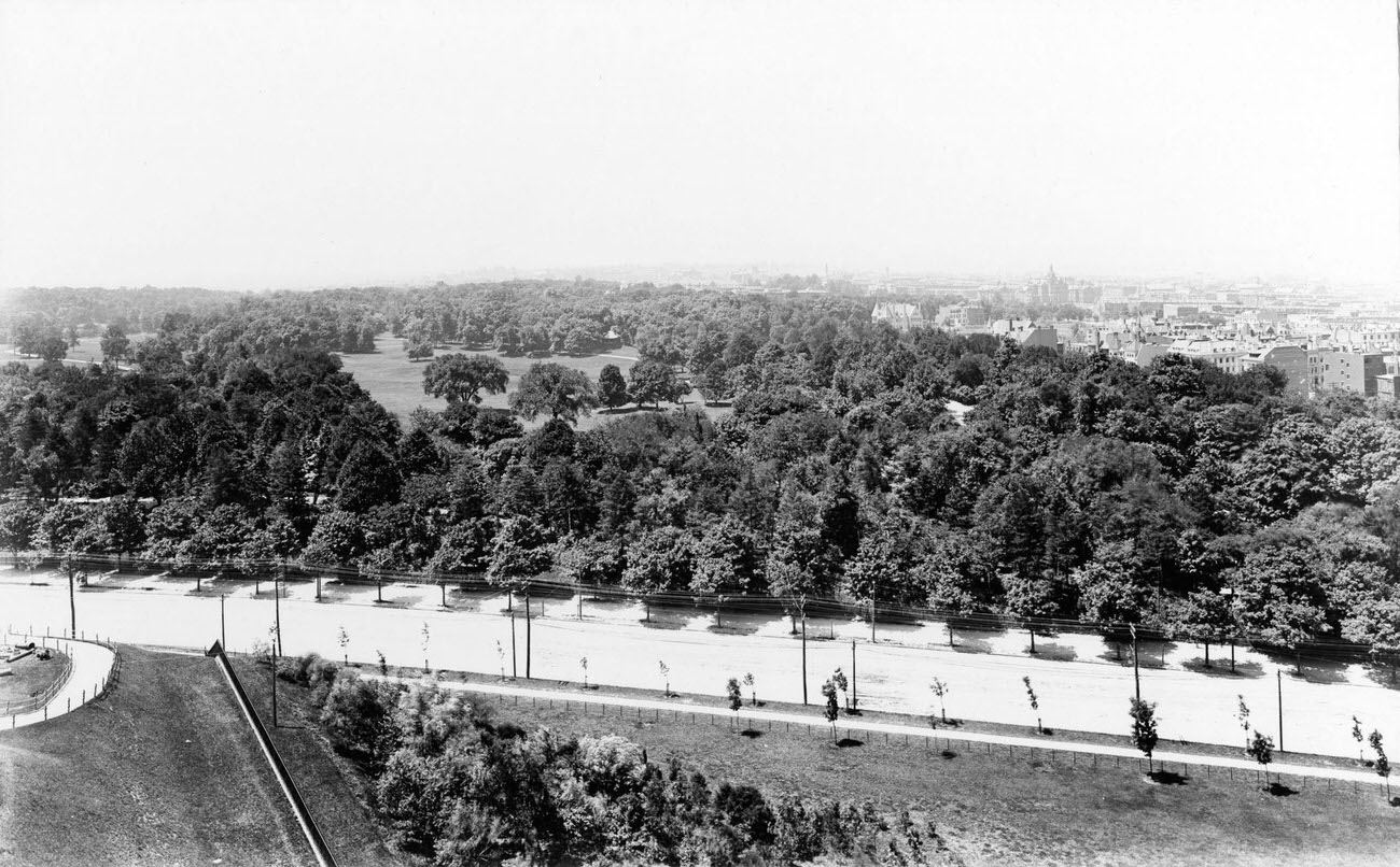 High-Angle View Of Prospect Park From The Mount Prospect Reservoir, Looking Southwest Over Flatbush Avenue, 1895