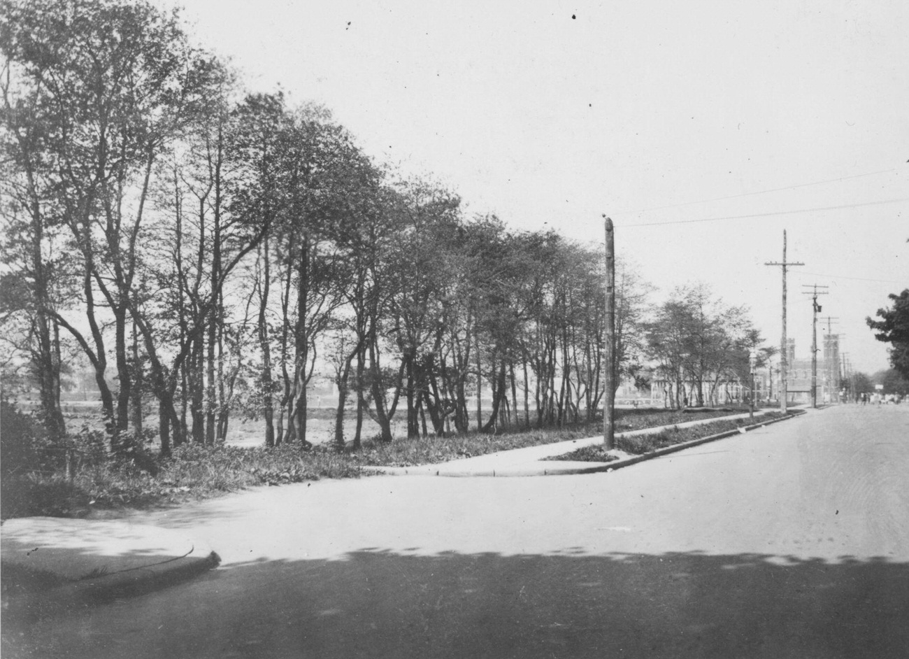 Row Of Trees Form The Southerly Boundary Of The Vanderveer Farm; Catholic Church On Right, Southwest Corner Of Nostrand Avenue And Newkirk Avenue, 1922