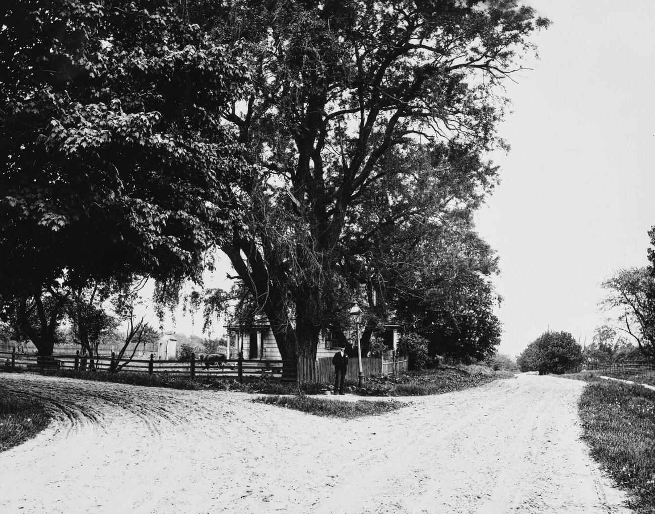 View Of The Intersection Of Two, Unidentified Dirt Roads On Which A Man Stands And Behind Him, A House Mostly Hidden By Trees, 1892.