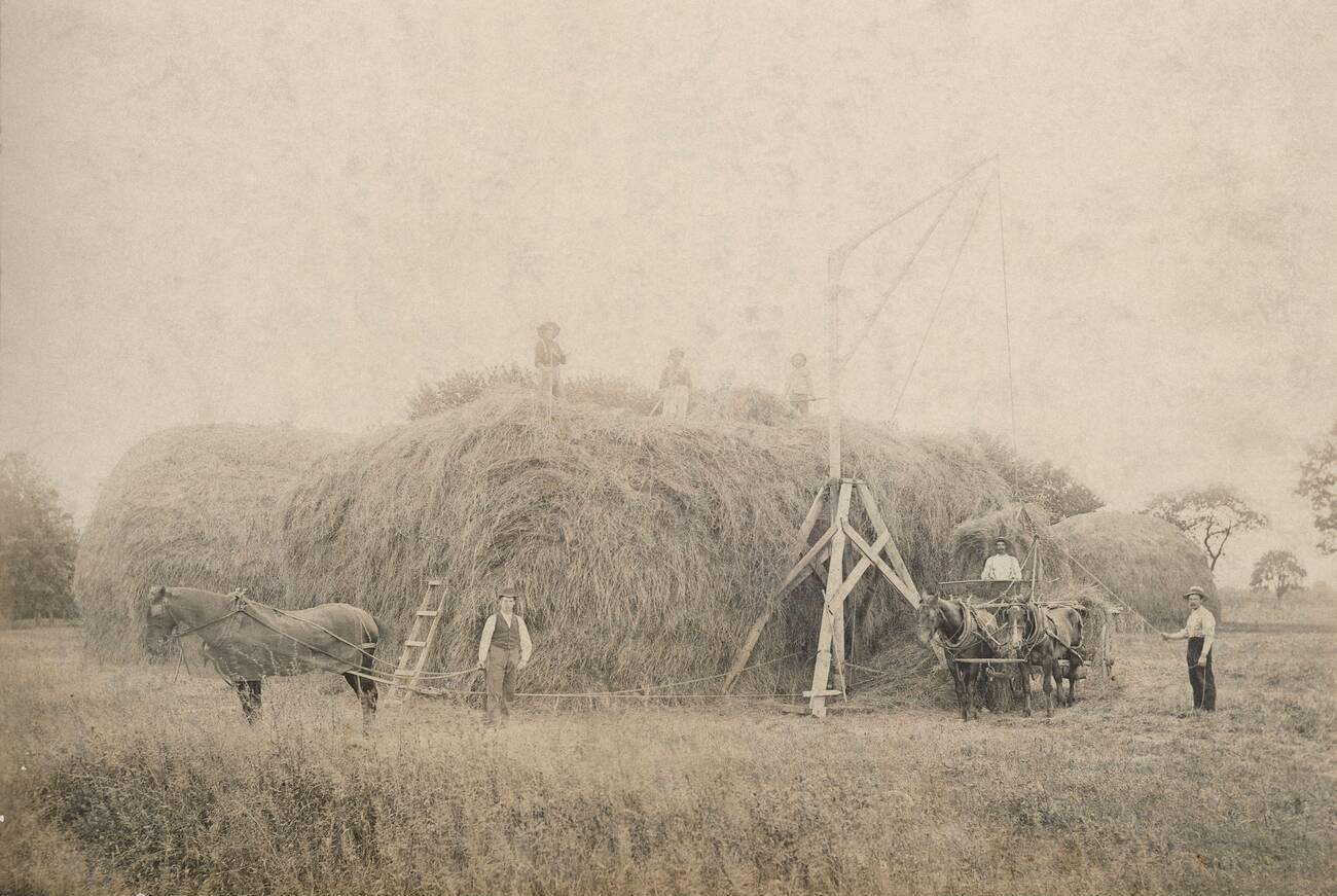 Scene On Farm Of Mr. Vanderbilt On Staten Island, 1891