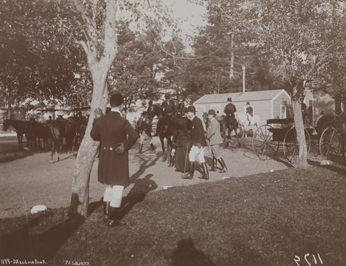 Men And Horses At Meadow Brook'S Richmond Club In Staten Island, 1890S