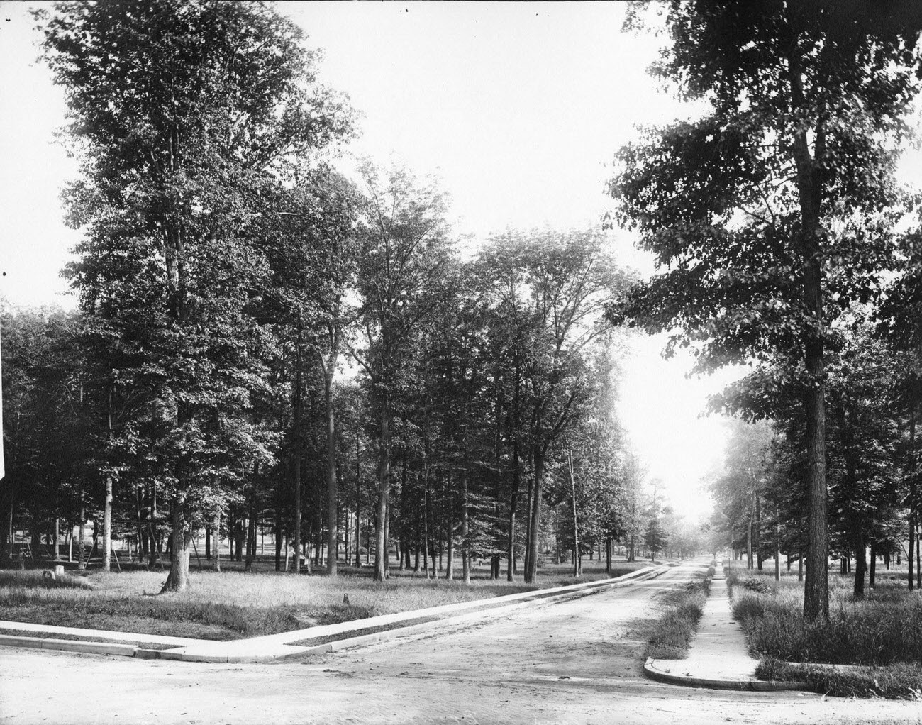 Brownings Prohibition Park, Staten Island, 1895