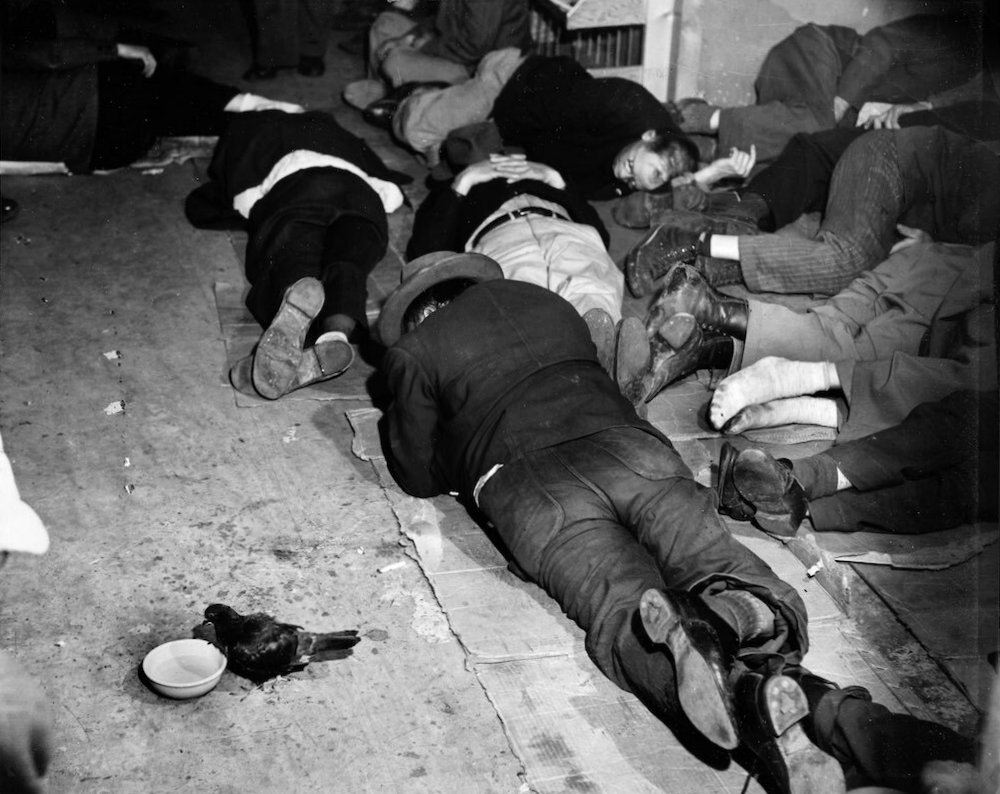 A Group Of Men Sleep Off Their Hangovers, While A Lone Pigeon Drinks From A Bowl Of Water Set Down Nearby.