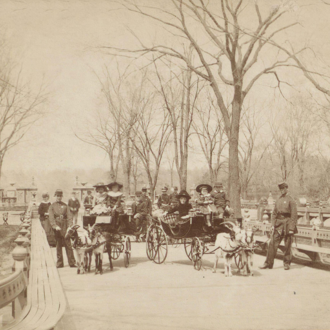 Goat Team, Central Park, Manhattan, 1870