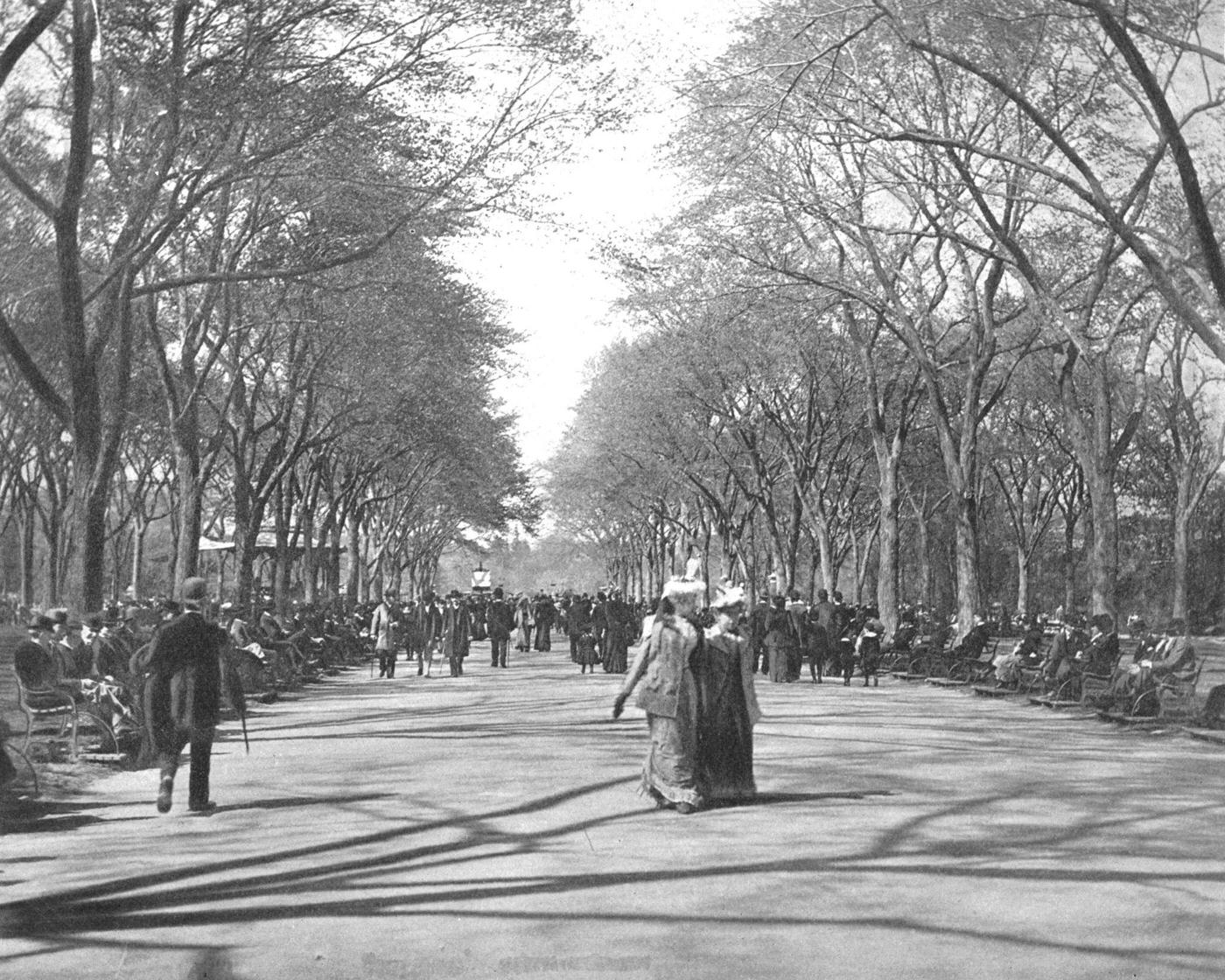 The Mall, Central Park, People Strolling in the Pedestrian Esplanade of Central Park Mall, New York City, 1900