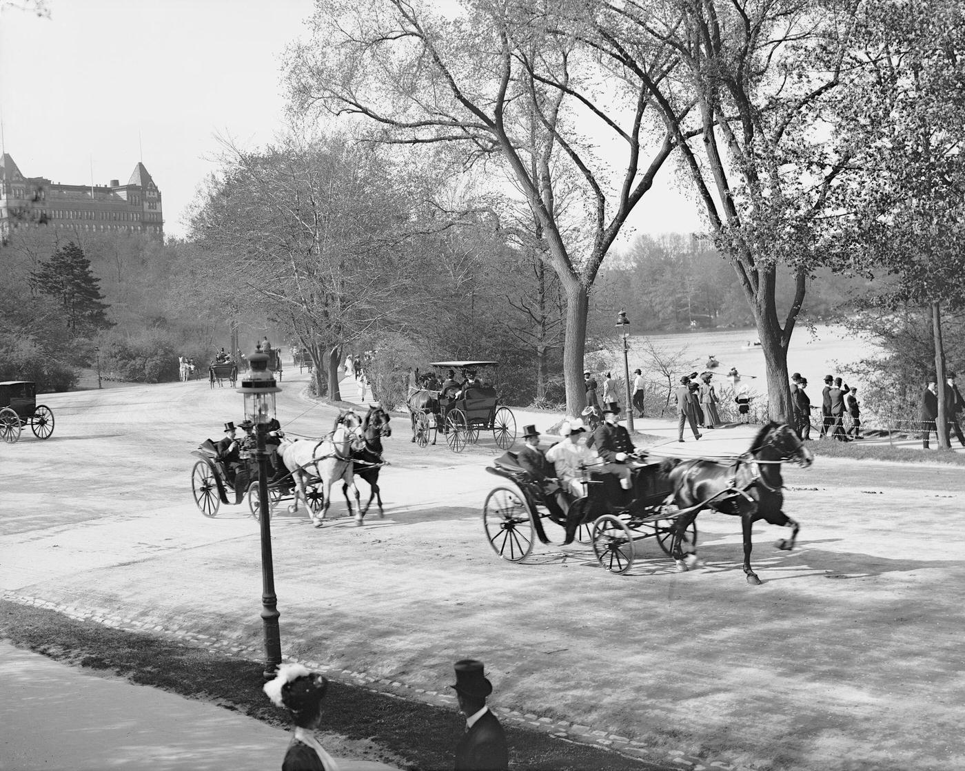 Horse-Drawn Carriages And Coaches On The Driveway, Central Park, New York City, 1900