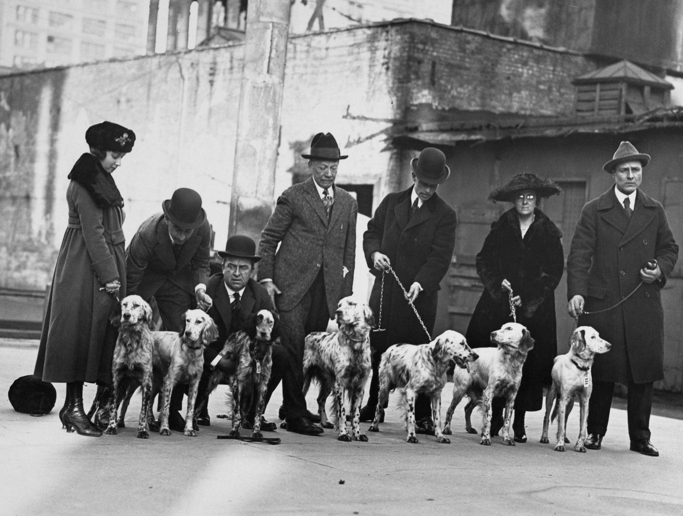 1918 Westminster Kennel Club Dog Show, New York City, 1918