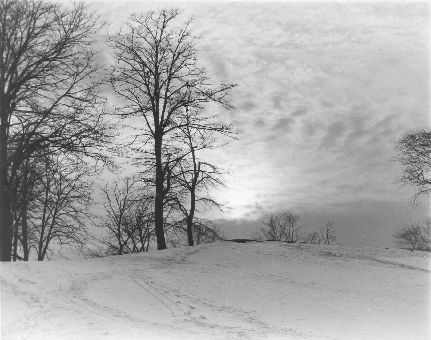 Winter In Central Park, Near 69Th Street, New York City, 1929.