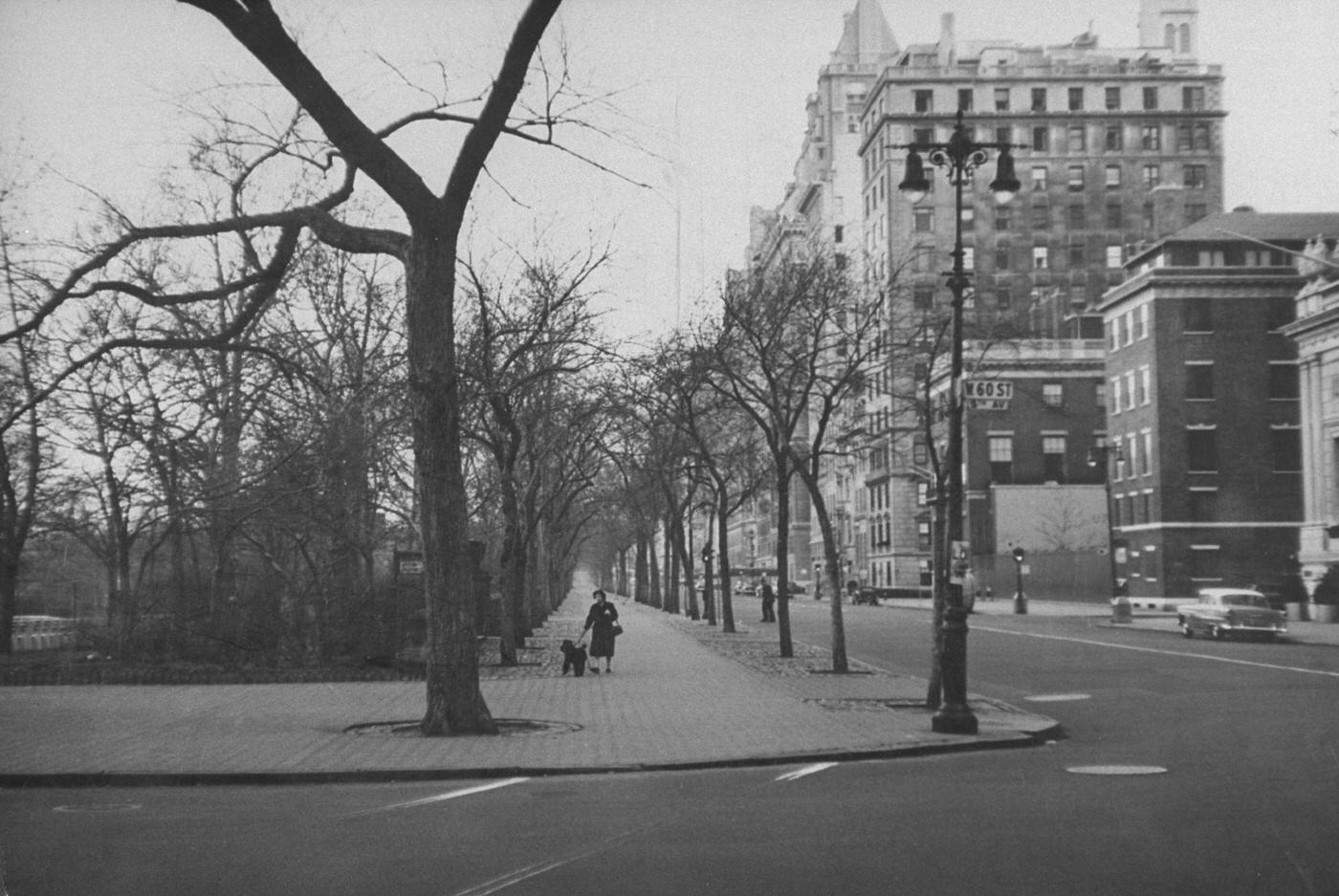 Someone Walking A Dog Near Central Park: Someone Walking A Dog Near Central Park, Manhattan, 1958.