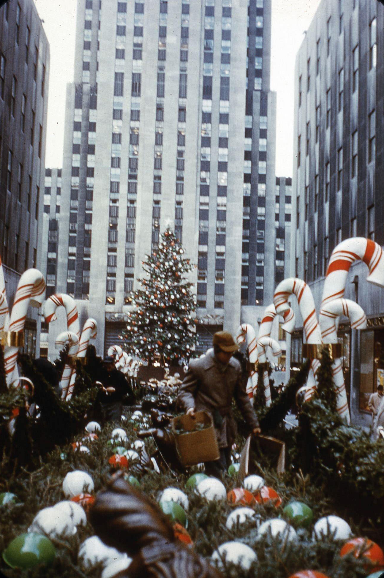 Rockefeller Center Employee Decorating The Promenade For Christmas, Manhattan, 1956.