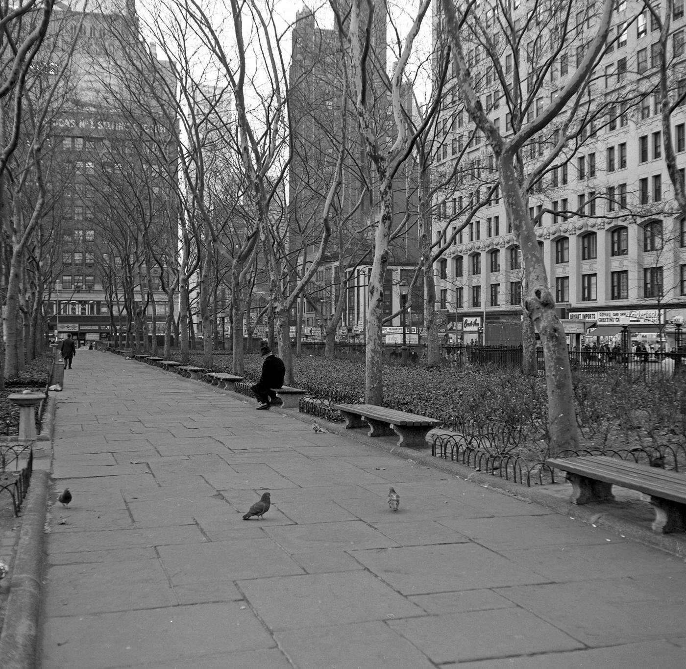 View Along A Path In Bryant Park, Manhattan, 1967