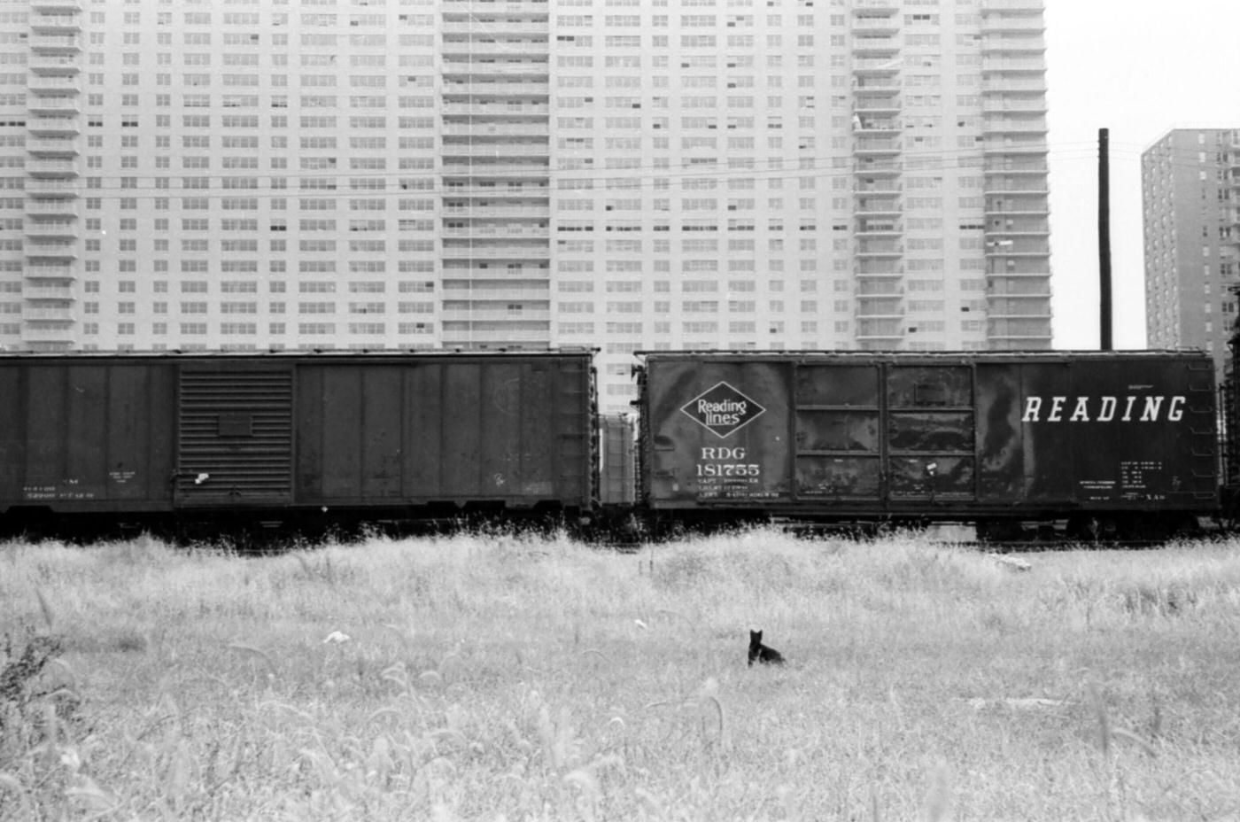 A View Of Reading Railroad Box Cars In Upper Manhattan'S, 1965.