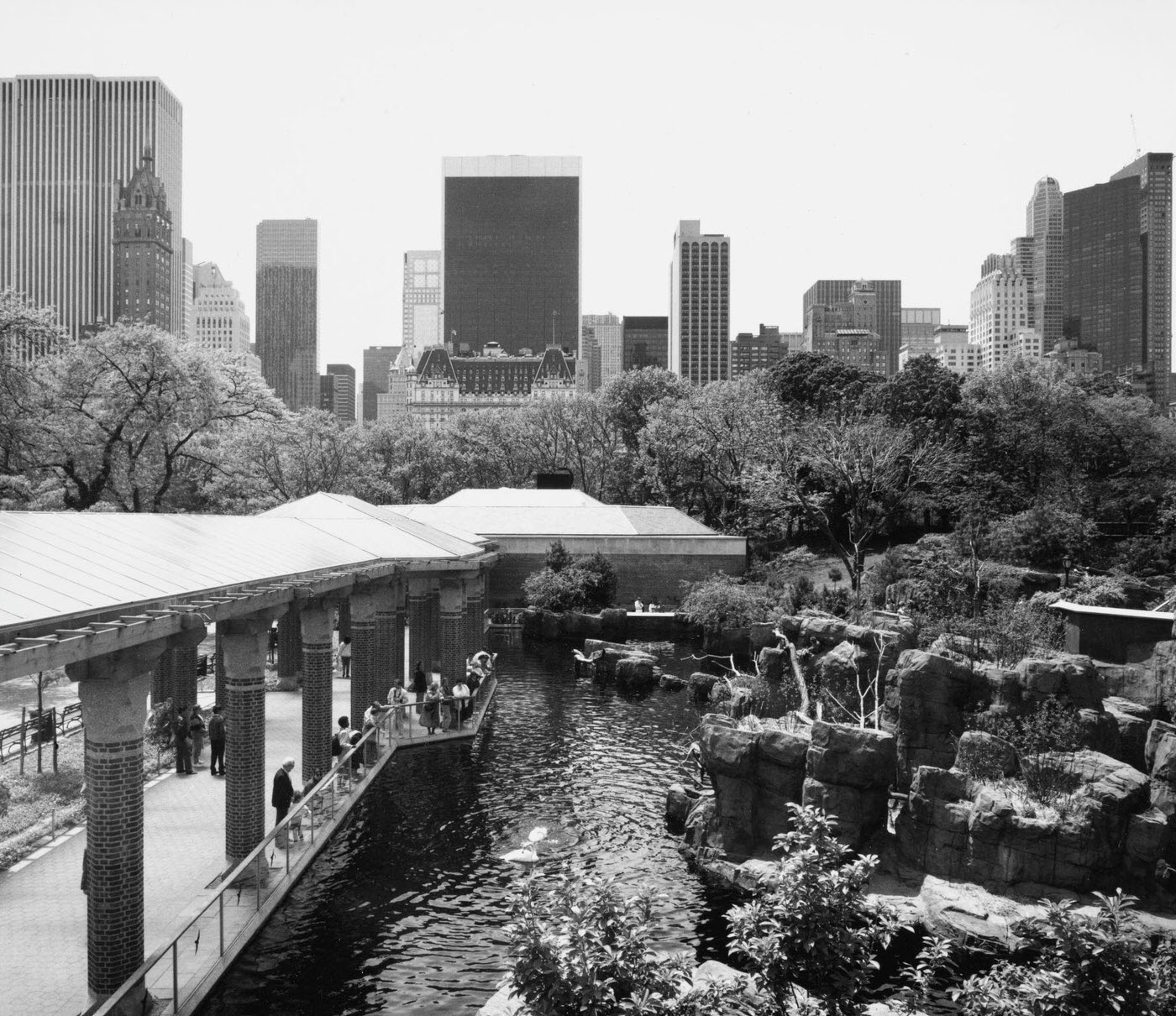 Central Park Zoo, Manhattan, 1979.