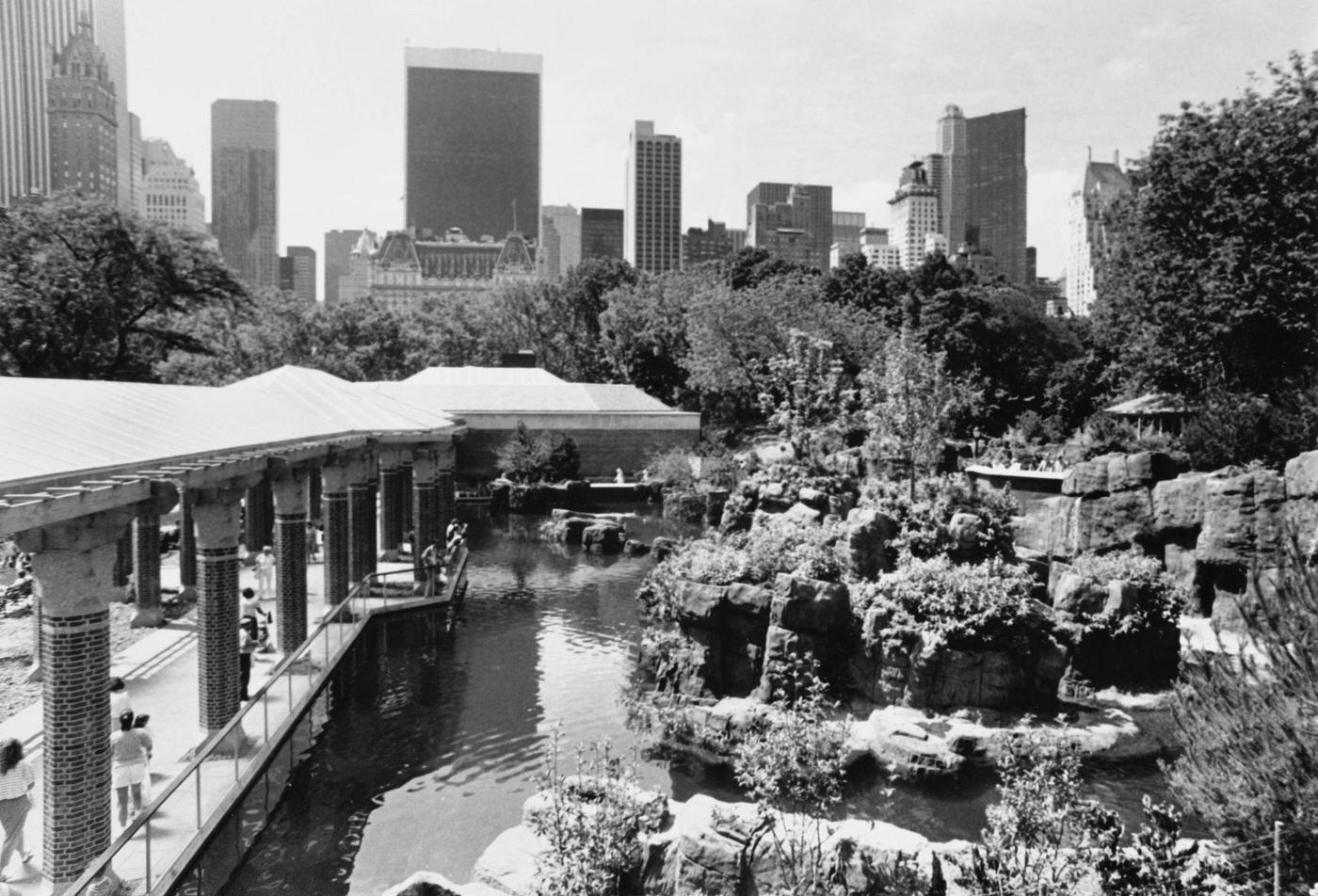 Central Park Zoo, Buildings Of Manhattan Rise Up Beyond The Sea Lion Pool, Manhattan, 1988