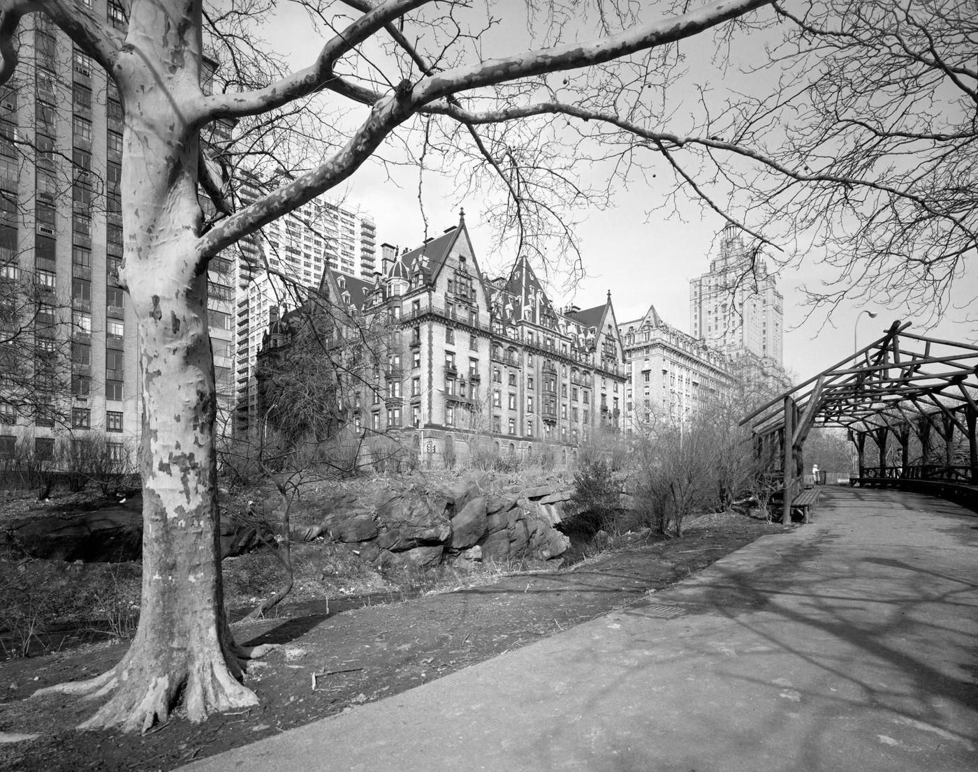 Looking At The Dakota Building From Central Park, Manhattan, 1980S