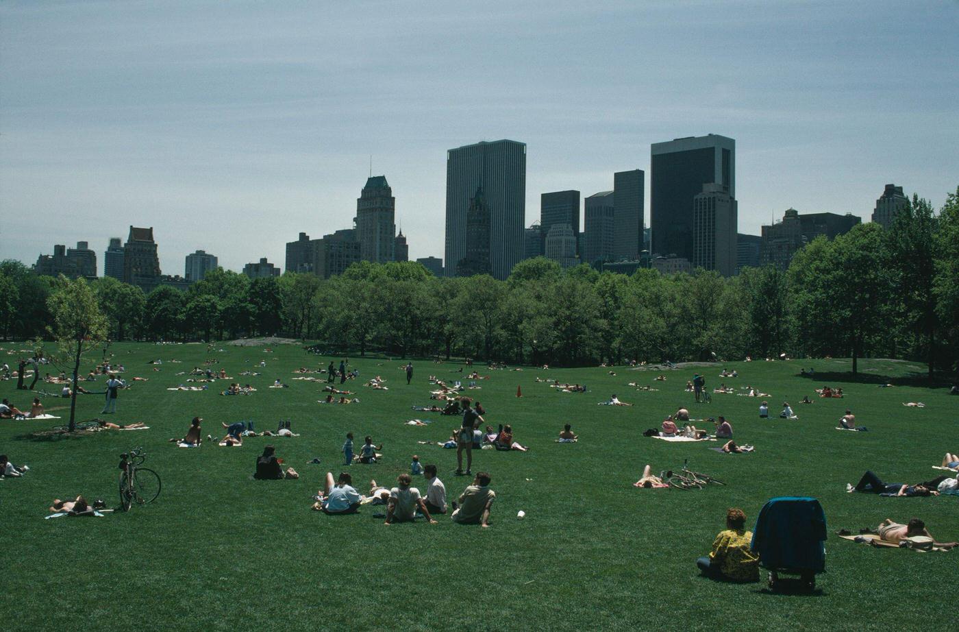 The Sheep Meadow In Central Park, Manhattan, 1986