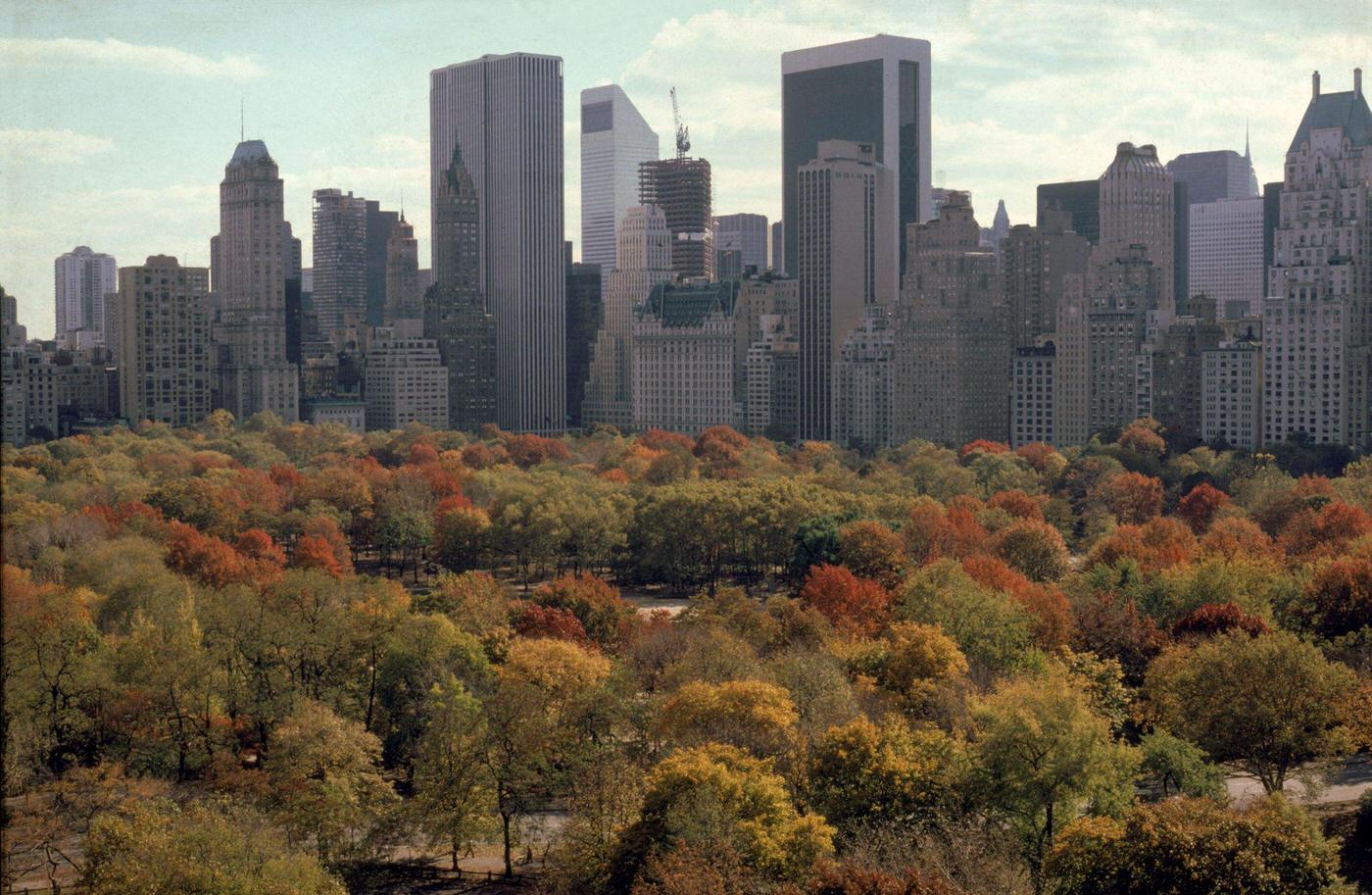 'Autumn In Manhattan' Across Central Park, Manhattan, 1983.