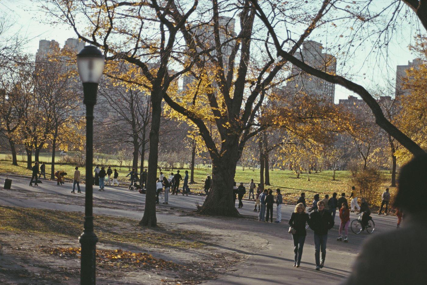People Walking In Central Park, Manhattan, 1980
