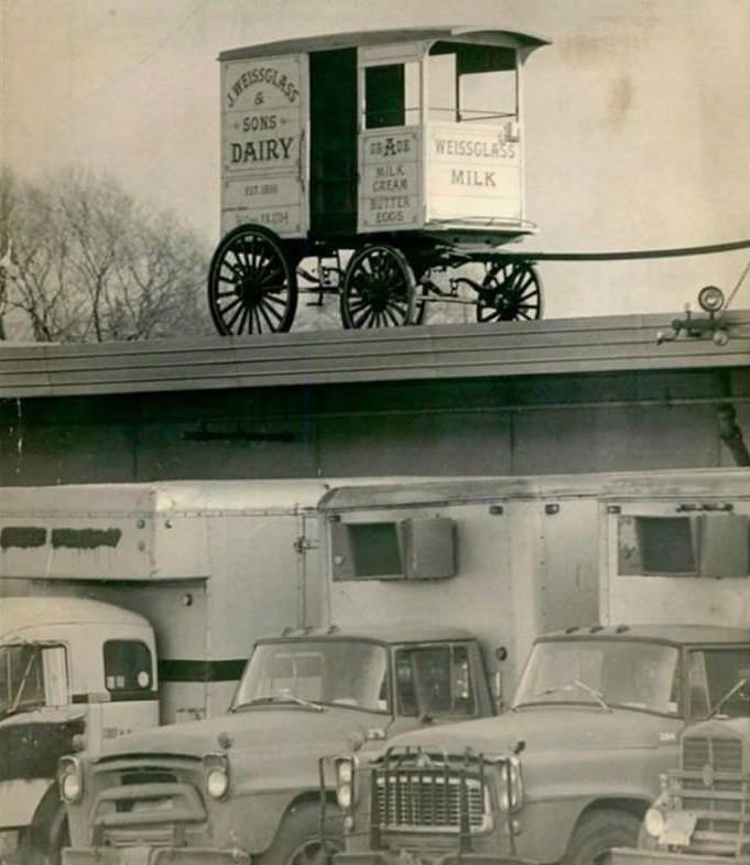 Staten Islanders Used To Have Their Milk Delivered In Horse-Drawn Wagons From Weissglass Dairy, Mariners Harbor, 1979.