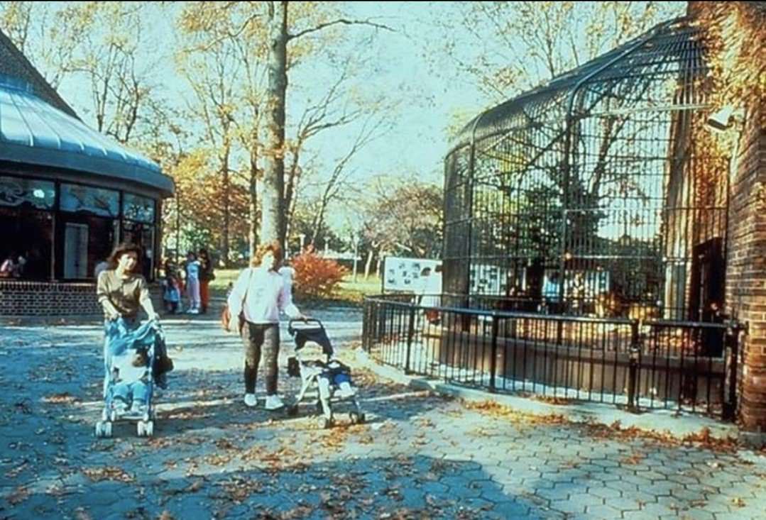 Staten Island Zoo In The Late 1970S