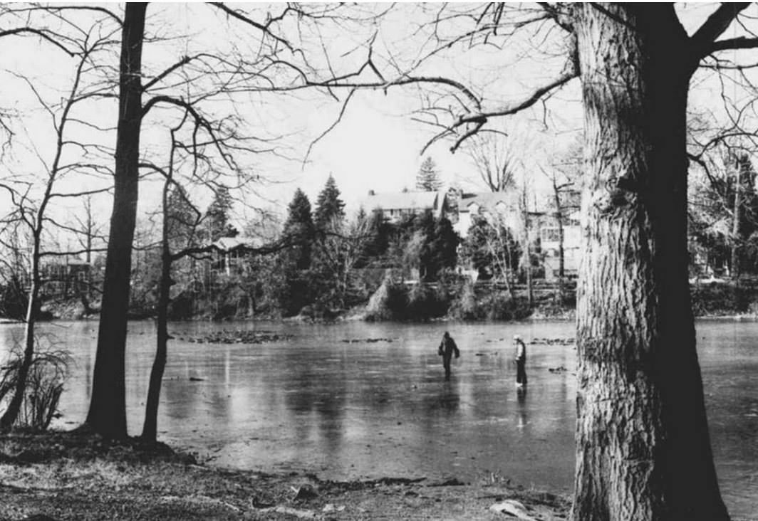 A Frozen Cameron'S Pond, Grasmere, 1981.