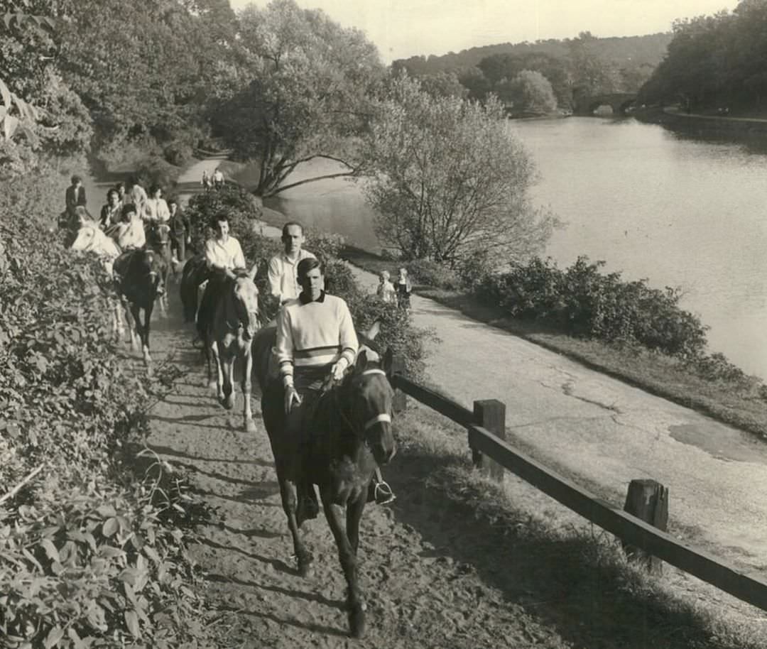Horseback Riding In Clove Lakes Park, 1962.