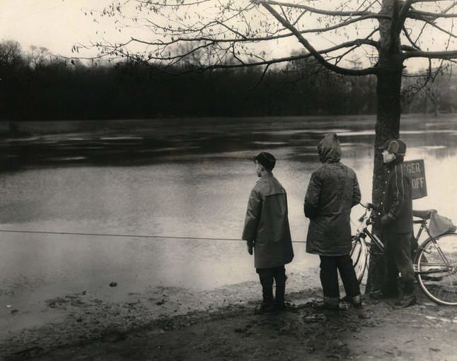 Tranquil View In Clove Lakes Park, 1956.