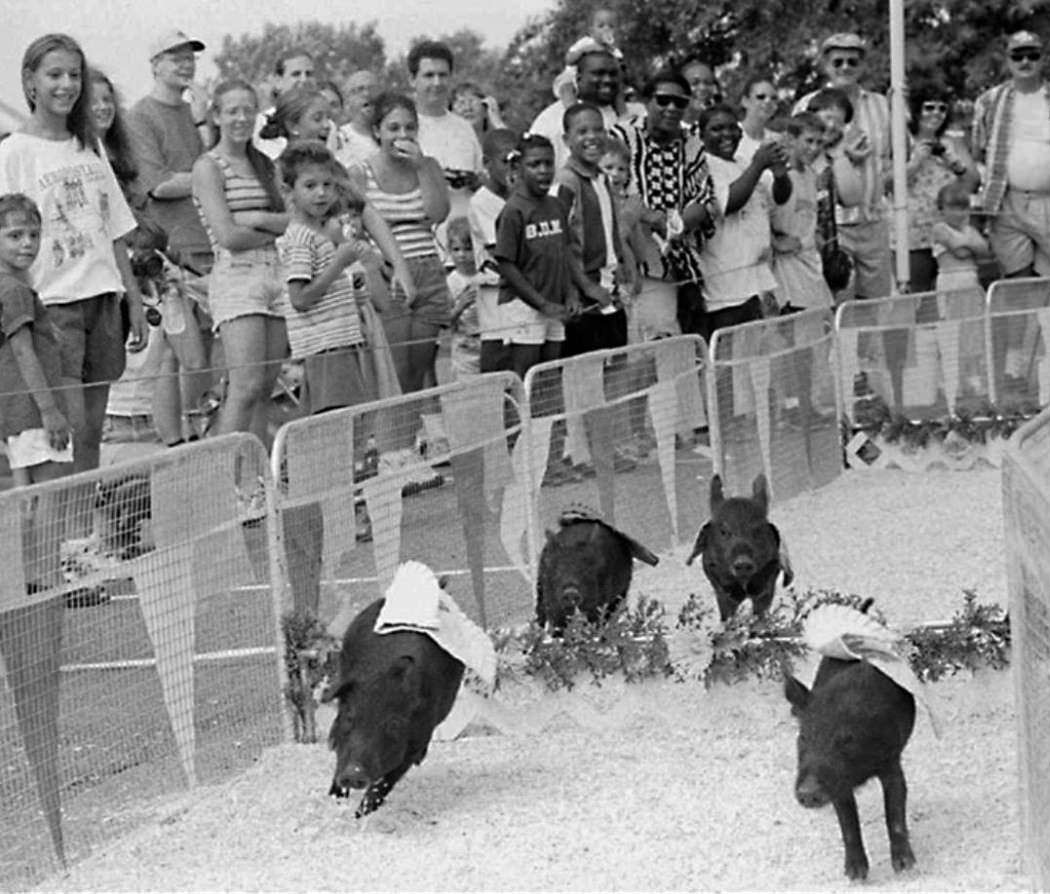 The Richmond County Fair, Pig Race And Fair Details, Staten Island, 1997.