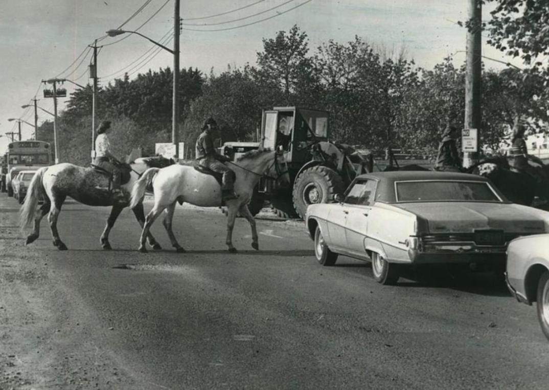 Horseback Riders Crossing Clove Road, Staten Island, October 1973.
