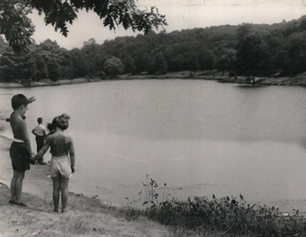 Martlings Pond, &Amp;Quot;The Summer Of '55,&Amp;Quot; Staten Island, 1950S