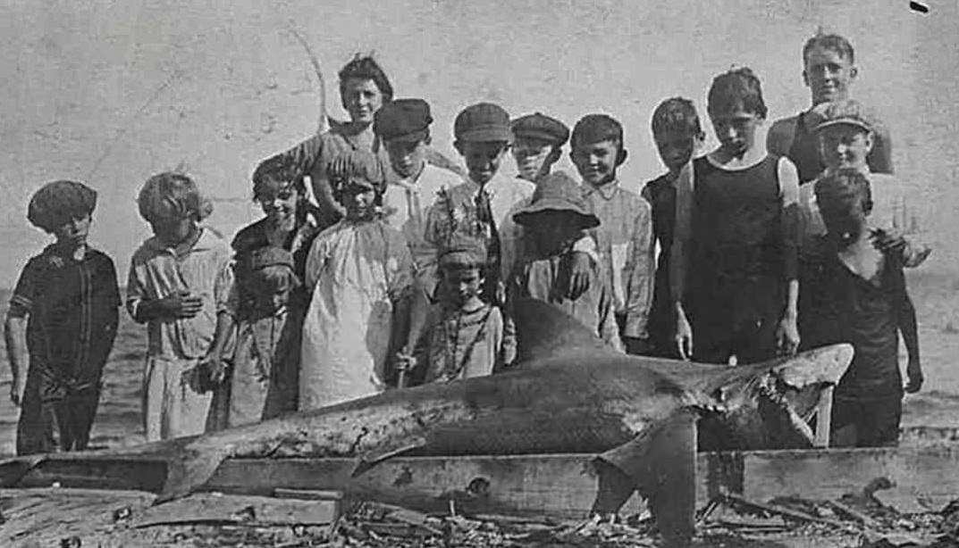 Find On The Raritan Bay Beach, St. Elizabeth'S At Mt. Loretto, 1920S