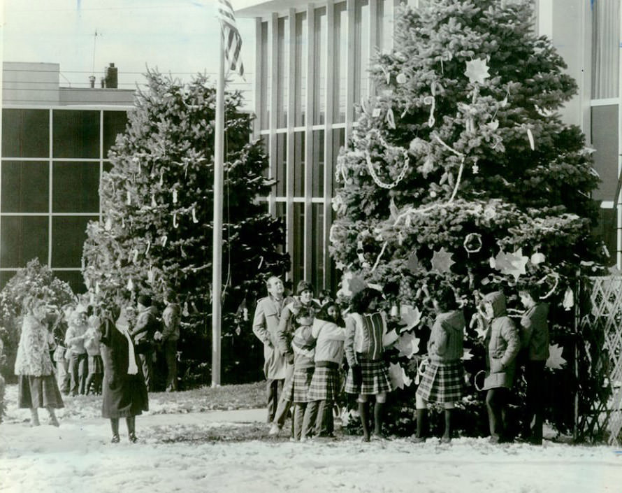 Students From St. Rita'S And St. Teresa'S Schools Decorate Evergreens In Castleton Corners, 1982.