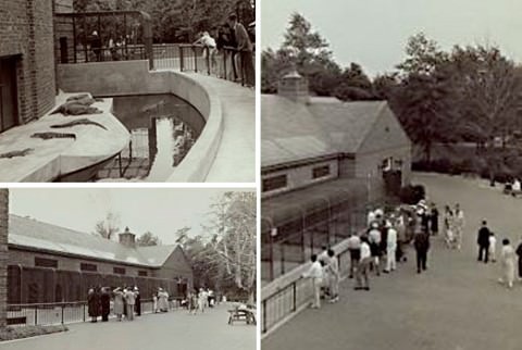 Barrett Park, Staten Island Zoo Built On The Former Estate Of Colonel Edward Harden, Circa 1937.