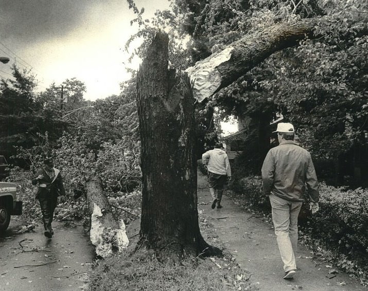 Hurricane Gloria Downed Trees On Guyon Ave. In Oakwood And Liberty Ave. In Dongan Hills, 1985.