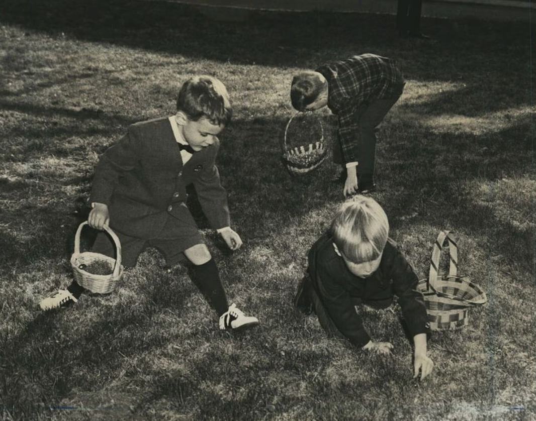 Young Men Searching For Chocolate Eggs During An Easter Hunt, 1979.