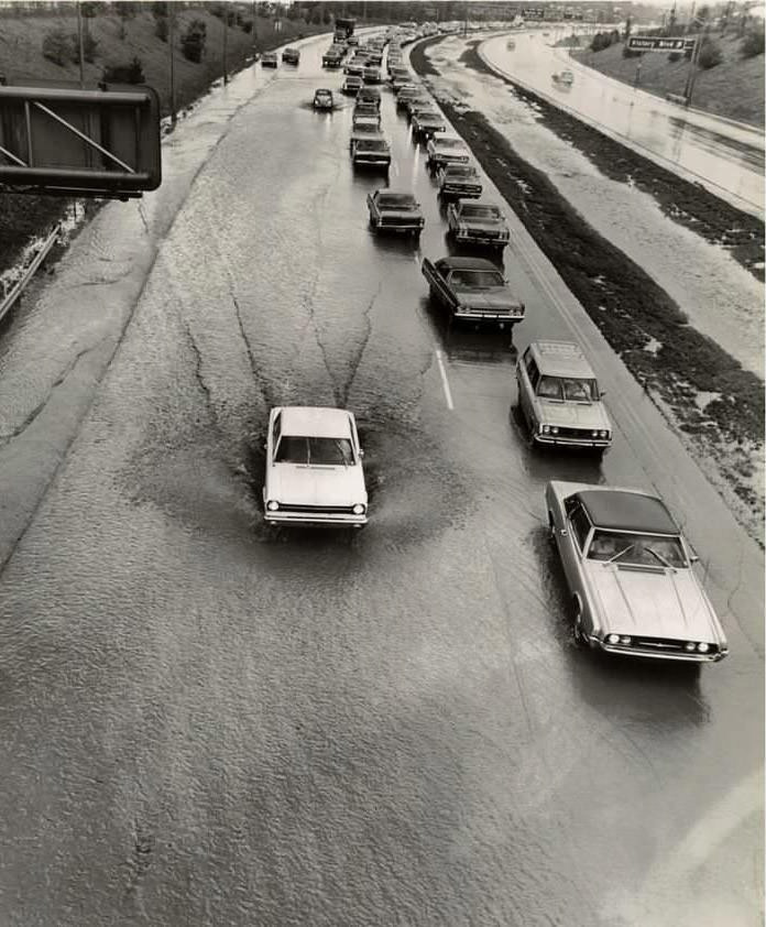 Slow Traffic In Brooklyn-Bound Lane Of Staten Island Expressway Near Woolley Avenue, 1981.