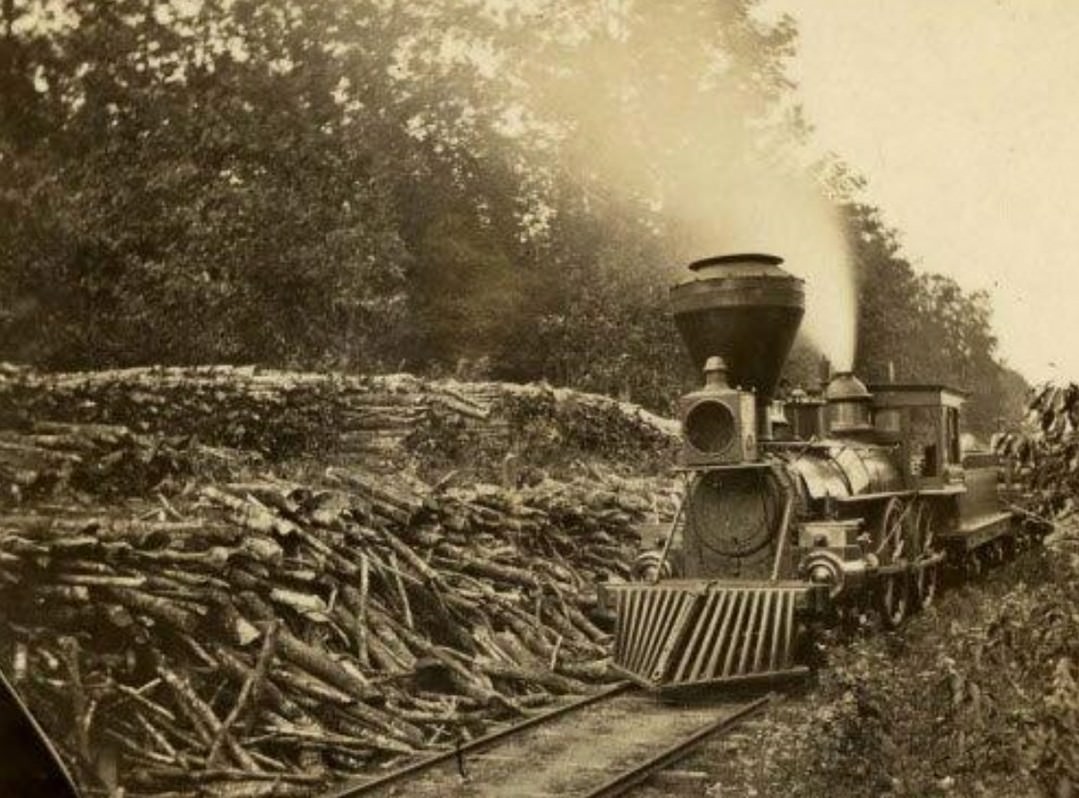 First Staten Island Railroad, 1900S
