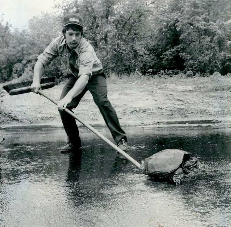 John Largo Rescues Snapping Turtle Near Hylan Boulevard, Princes Bay, Circa 1978.