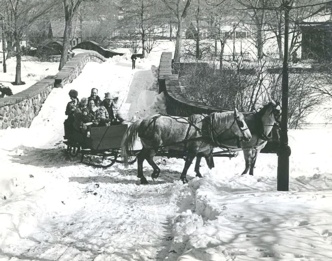 Horse-Drawn Sleigh Rides In Clove Lakes Park During The Park Department'S Snow Ball, 1967.