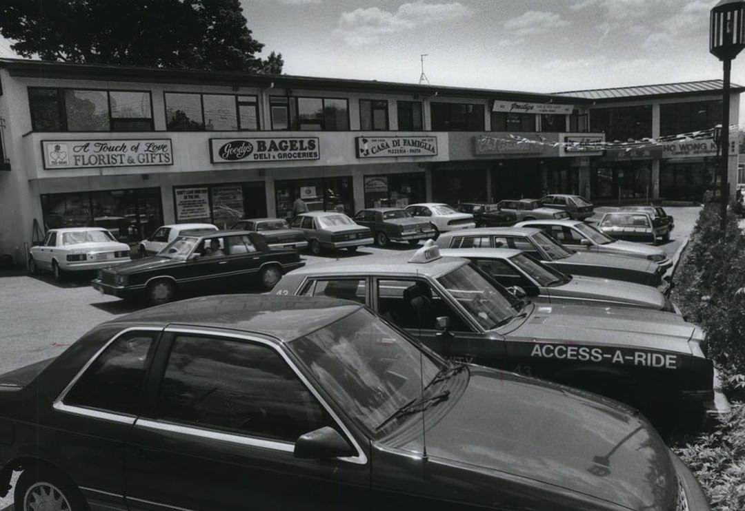 Stores In Hylan Blvd. Shopping Plaza In Arrochar, Circa 1990S.