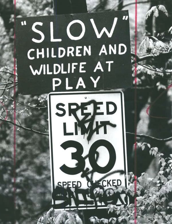 Sign At Blue Heron Pond Park In Annadale Reads &Amp;Quot;Slow&Amp;Quot; Children And Wildlife At Play, 1990S.