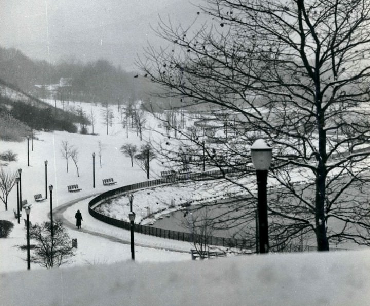 Silver Lake Park Takes On A Magical Look After Snowstorm, 1984.