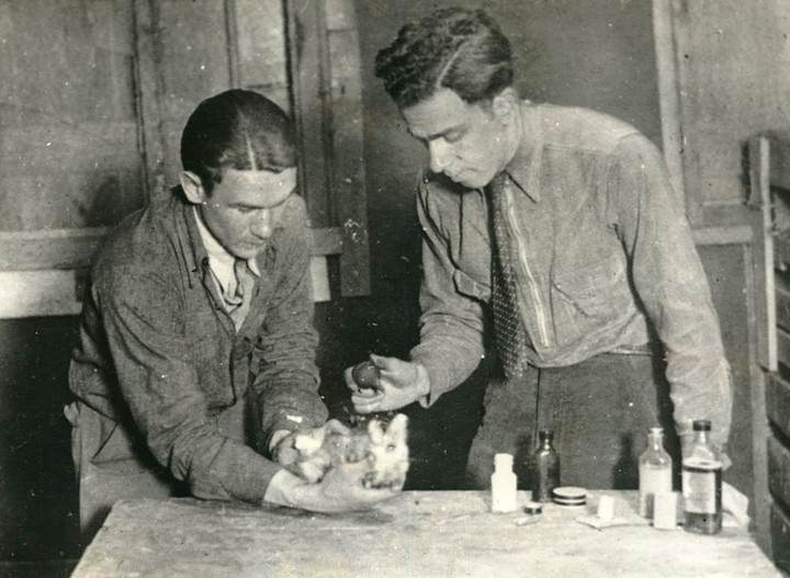 Frank Dickson &Amp;Amp; Robert Mathewson Treat An Opossum At The Staten Island Zoo Hospital, 1936.