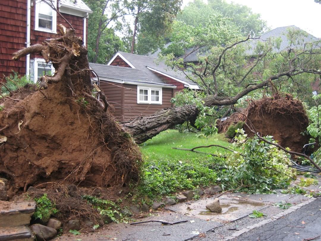 A Tornado Touched Down On Staten Island, Toppling Trees And Crushing Cars In Various Neighborhoods, 2007.