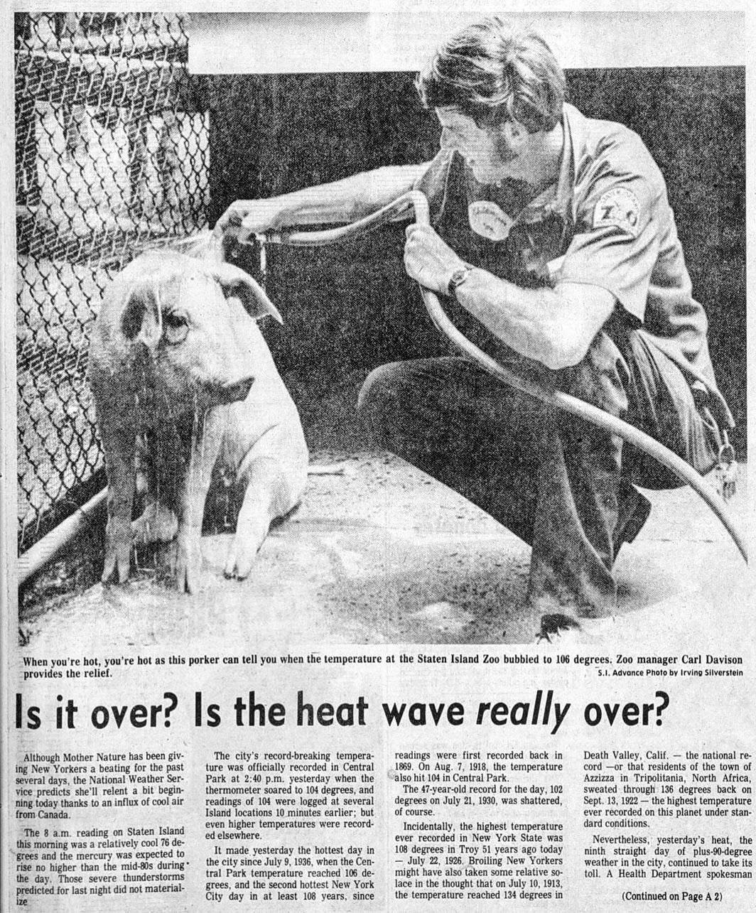 Vintage Photo In The Staten Island Advance, 1982.