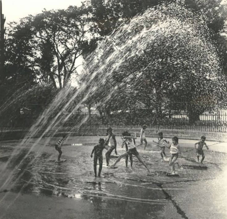 Youngsters Sprayed In Clove Lakes Park On A Day With 93 Degrees Temperature, 1981.