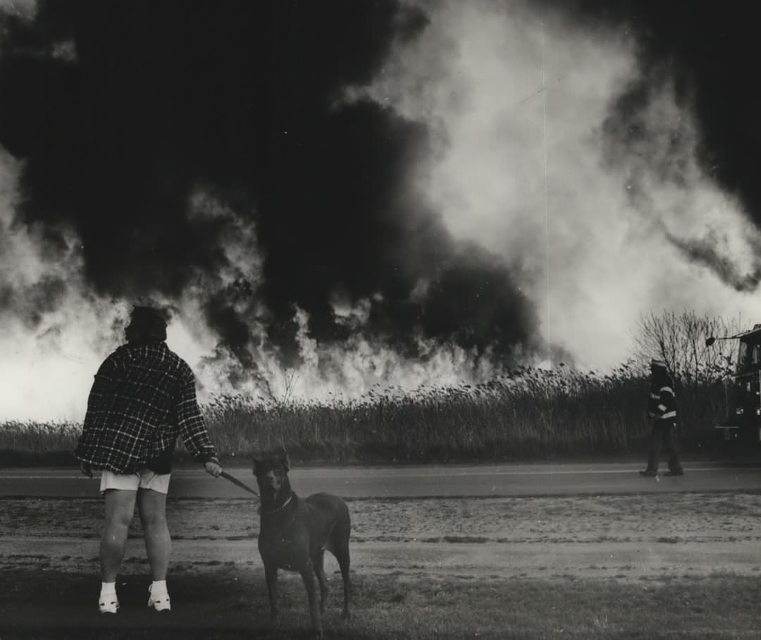 Firefighters Pull Up To Fire, Doberman Wants No Part Of It, Gateway Park, 1995.